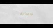 荷花池成语