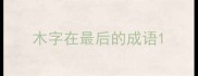 木字在最后的成语