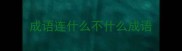 成语连什么不什么成语