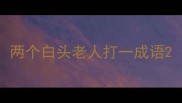 两个白头老人打一成语