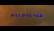 枝什么花什么的成语