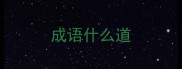 成语什么道