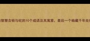 锁与砣的智慧含锁与砣的10个成语及其寓意最后一个暗藏千年处世哲学