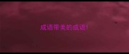 成语带美的成语