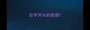 右字开头的成语