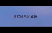 描写帅气的成语