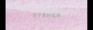老子里的成语