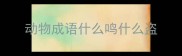 动物成语什么鸣什么盗