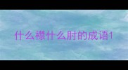什么襟什么肘的成语