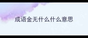 成语金无什么什么意思