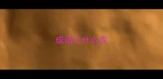 成语三什么虎