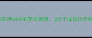 难求花成语藏在诗词中的花语智慧这5个成语让你秒变诗词达人