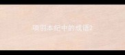 项羽本纪中的成语