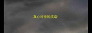 真心对待的成语