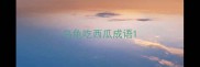 乌龟吃西瓜成语