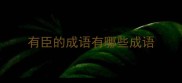 有臣的成语有哪些成语
