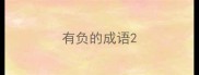 有负的成语