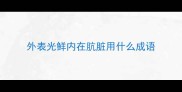 外表光鲜内在肮脏用什么成语