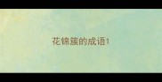 花锦簇的成语