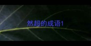 然超的成语