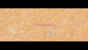 下开头的四字成语