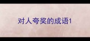 对人夸奖的成语
