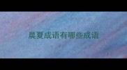晨夏成语有哪些成语