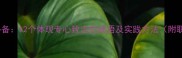 高效学习工作必备12个体现专心致志的成语及实践方法附职场应用技巧