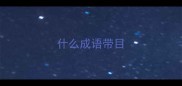 什么成语带目