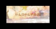 什么日什么手成语