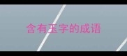 含有玉字的成语
