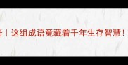 带笼带镣的成语这组成语竟藏着千年生存智慧附使用场景