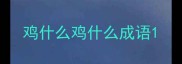 鸡什么鸡什么成语