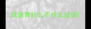成语青什么不什么成语