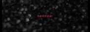 作表率的成语