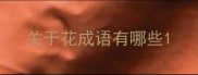 关于花成语有哪些