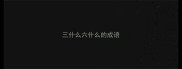 三什么六什么的成语