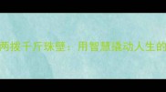 成语四两拨千斤珠壁用智慧撬动人生的秘密