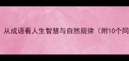 叶落知秋从成语看人生智慧与自然规律附10个同类成语
