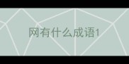 网有什么成语