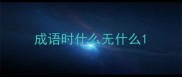 成语时什么无什么