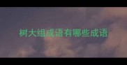 树大组成语有哪些成语