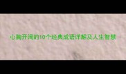 心胸开阔的10个经典成语详解及人生智慧
