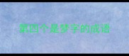 第四个是梦字的成语