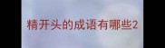 精开头的成语有哪些