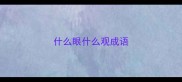 什么眼什么观成语