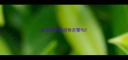 论语中的成语格言警句