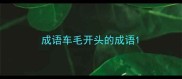 成语车毛开头的成语