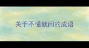 关于不懂就问的成语