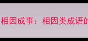 相辅相成与相因成事相因类成语的智慧传承